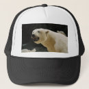 Search for endangered hats Global warming