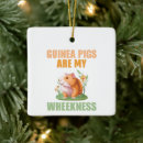 Search for piggy christmas tree decorations Rodent