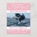 Search for purr postcards Pets