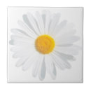Search for daisy tiles Fresh