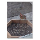 Search for verbs Bird