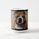 Search for bulldog coffee mugs Canine