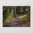 Search for trails postcards Arizona