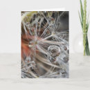 Search for abstract galleries cards Close up