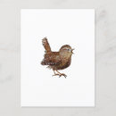 Search for singing postcards Bird