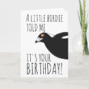 Search for happy bird day cards Cute birds