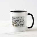 Search for hoof mugs English