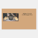 Search for teachers pet stickers Dog