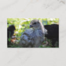 Search for easter business cards Pet