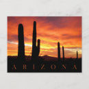 Search for silhouetted postcards Sunset