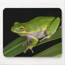 Search for tree frog mousepads Amphibian