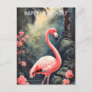 Search for cool birds postcards Flamingo