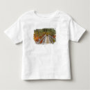 Search for national forest tshirts Usa