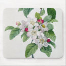 Search for 19th century mousepads Plants