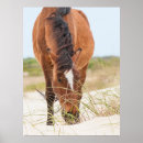 Search for mustang horses posters Ranch
