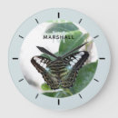 Search for conservation clocks Nature