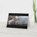 Search for pig mothers day cards Animals