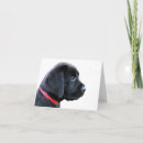 Search for collar cards Puppy
