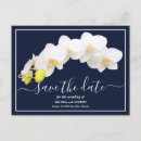 Search for white orchid postcards Flowers