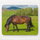Search for horse mousepads mane