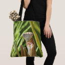 Search for mantis bags Entomology