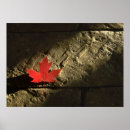 Search for canadian symbol posters Maple leaf