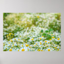 Search for alternate posters Background