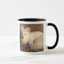 Search for nwr mugs Carnivore