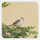 Search for sparrow stickers Cute