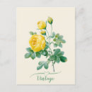Search for vintage rose illustration postcards Elegant