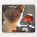Search for enjoyment electronics Animal