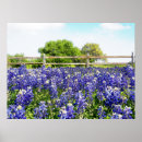 Search for bluebonnets art Country