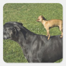 Search for large dog stickers Small