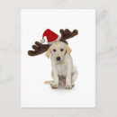 Search for cutout christmas cards Animal