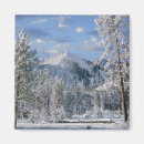 Search for yellowstone national park magnets Usa