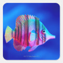 Search for tropical fish stickers Sealife