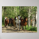 Search for horse ranch posters Mountains