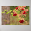 Search for bunch art Berries