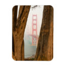 Search for golden gate bridge magnets Beach