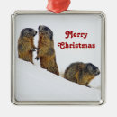 Search for prairie dog christmas tree decorations Wildlife