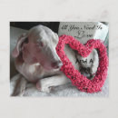 Search for need love postcards Animal