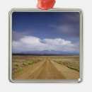 Search for dirt christmas tree decorations Nature