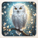 Search for owl coasters White