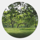 Search for peaceful scene stickers Trees