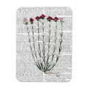 Search for carnations magnets Flowers