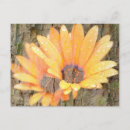 Search for life is sweet postcards Nature