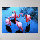 Search for pink flamingo art Travel