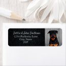 Search for rottie return address labels Animal