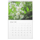 Search for aunty photography Flower