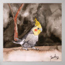 Search for cockatiel art Pet